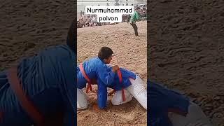 Nurmuhammad polvon g‘alabasi