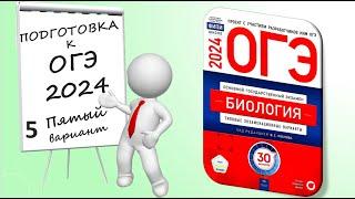 ОГЭ 2024 биология. Вариант №5 Сборник Рохлова.