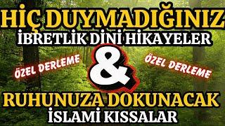 Hiç Duymadığınız İbretlik Dini Hikayeler: Ruhunuza Dokunacak İslami Kıssalar