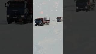 #бездорожье #зимняядорога #зима #kamaz4310 #ямал #заполярныйкруг #таймыр #север #вездеход