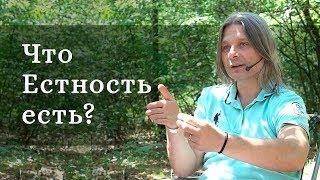 Что Естность есть? ( О Высшем, которое проявляется через человека, о Целом)