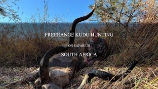 Freerange Kudu Hunting with Safari Quest Outfitters