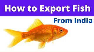 How to Export Fish, SeaFood and Marine Products from India [Deeply Researched and Explained] | Hindi