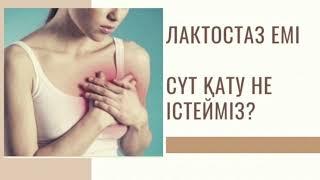 ЛАКТОСТАЗ ЕМІ / СҮТ ҚАТУ / Емшек қатуы / Омырауда сүт қатса