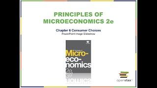 Chapter 6:  Consumer Choices