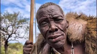 The Iconic Life Of African Hadzabe Tribe | Hunting In Tanzania Forest