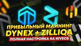 Прибыльный майнинг на видеокартах Dynex + Zilliqa. Полная настройка майнинга DNX + ZIL на HiveOS