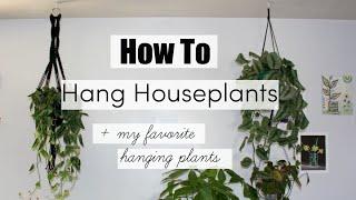 How To Hang Houseplants! | BEST Hanging Indoor Plants!