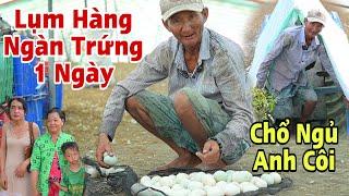 Chổ Ngủ Của Anh Côi Cha Chồng Chị Phượng U48”Lụm Hàng Ngàn Trứng Vịt Mỗi Ngày