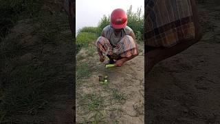 Farmer's Rat Killing 95 #shortsfeed #rattrap #farming #survival #viralvideo #hunt