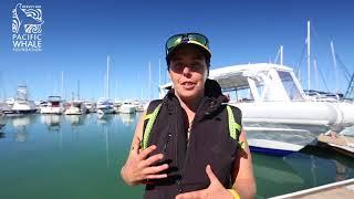 Hervey Bay Guest Review