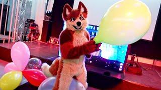 Balloons at the Furdance 