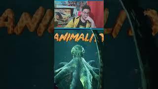 Calamar o pulpo?