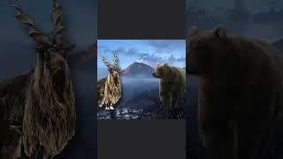 #top.   compare animals 