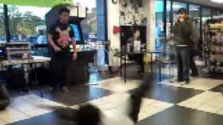 ART SCHOOL BREAKERS 13
