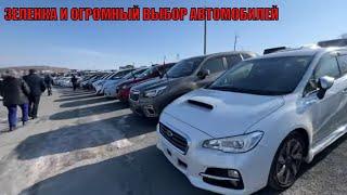 АВТОРЫНОК ЗЕЛЕНЫЙ УГОЛ 2023 НОВИНКИ И ЦЕНЫ ЕСТЬ ВСЕ ЧЕ ХОЧЕШЬ! АВТО ПОД ЗАКАЗ ИЗ ЯПОНИИ