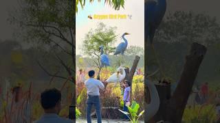 Oxygen Bird Park #nagpur#youtubeshorts#trending#viralvideo#youtube#park#garden#views