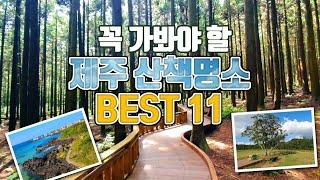 제주도 여행 /제주도 산책명소 BEST11 /제주도 걷기좋은길 /제주도 산책코스 /제주도 숲 추천 /제주도 걷기 명소 /제주도 가볼만한곳