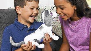 Zoomer Playful Pup  Customer review TV