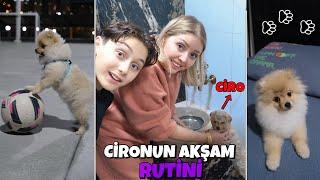 KÖPEĞİMİZ CİRONUN AKŞAM RUTİNİ !! FUTBOL OYNADI, BANYO YAPTI