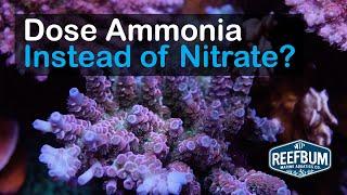 Dose Ammonia Instead of Nitrate? Dr. Sanjay Joshi & Mike Paletta, Rappin' w/ReefBum Sound Bite