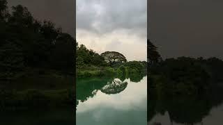 Exploring Singapore - McRitchie Reservoir, the oldest reservoir in Singapore