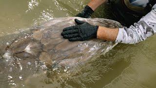 Top 10 Strangest Fish Ever Caught