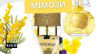 Мімози парфумерні  #chloé #houbigant #penhaligons