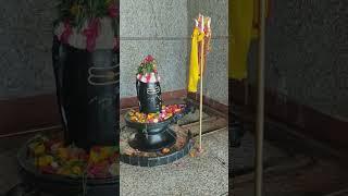 man mera mandir shiv #gauri shankar #bhole nath sgiv ji #nandi ji #youtubevideos #youtubeshorts