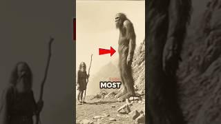 Top 5 Most Mysterious Creatures Found in U.S. Forests   #shorts