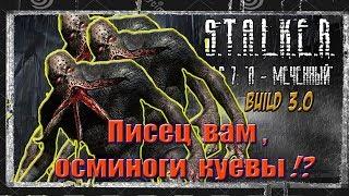 S.T.A.L.K.E.R.  NLC 7  Build 3.0 (Build 7101)#32  ВАРИМ АРТЕФАКТЫ И ИЩЕМ СОСУНОВ