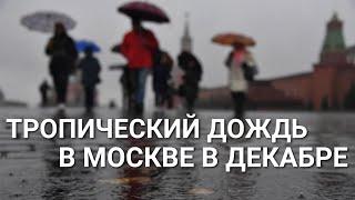 Тропический дождь в Москве 11-12 декабря после сильного снегопада