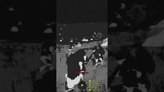 I have no light discipline #gaming #arma3 #funny
