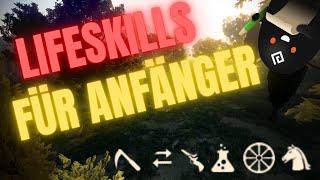 Lifeskills in Black desert für Anfänger erklärt