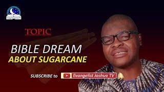 Bible Dream About SUGARCANE - Seeing, Eating, Cutting, Buying Sugarcane Meaning and Symbolism