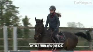 Emma O Dwyer- International Showjumper & Chartered Physiotherapist