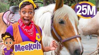 Meekah Learns to Take Care of Horses ! Blippi and Meekah Kids TV