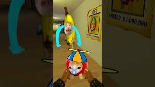 Bananacat Lost Baby Applecat #gmod 