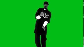 Snoop Dogg :  Smoke Weed Everyday - Green Screen