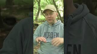 Setup Back Button Focus On Nikon Z Cameras In Under A Minute!