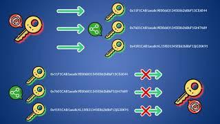 Cryptonomist Academy: What is and how does a digital wallet work?