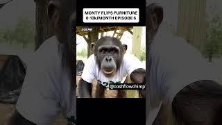 MONTY FLIPS FURNITURE 0-10k/ΜΟΝΤΗ ΕPISODE 6        #bigfoot #viral #yeti #funny #explore #foryou