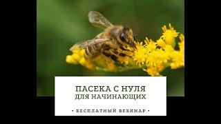 Пасека с нуля для начинающих | ведущий Василий Ляхов