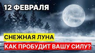 Магия особого полнолуни 12 февраля 2025: Что Нельзя Делать и Как Использовать Энергию Луны?