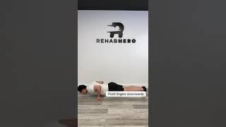 AC Joint Stability Exercise Options - Late Stage Recovery Routine