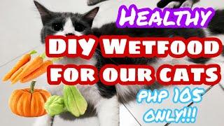 CHEAPEST DIY WET FOOD FOR OUR CATS | HEALTHY CAT FOOD | TIPID HOMEMADE CAT WET FOOD