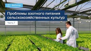 ПРОБЛЕМЫ АЗОТНОГО ПИТАНИЯ СЕЛЬСКОХОЗЯЙСТВЕННЫХ КУЛЬТУР. ЧАСТЬ 1.