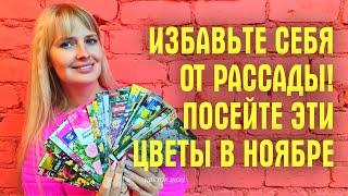 ИЗБАВЬТЕ СЕБЯ ОТ РАССАДЫ! Посейте ЭТИ ЦВЕТЫ ПОД ЗИМУ и БУДЕТ ВАМ СЧАСТЬЕ ВЕСНОЙ!