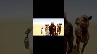 yeti and Bigfoot Iran  #ai #funny #yeti