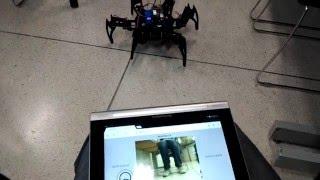 Hexapod with RPi and nodeJS